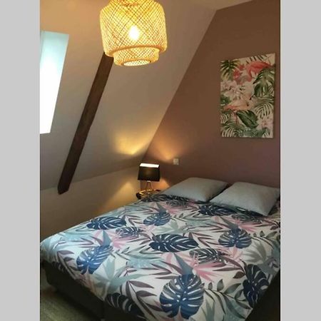 Appartement Dans Maison De 1789 Au Centre De Vitre Vitré Exterior foto